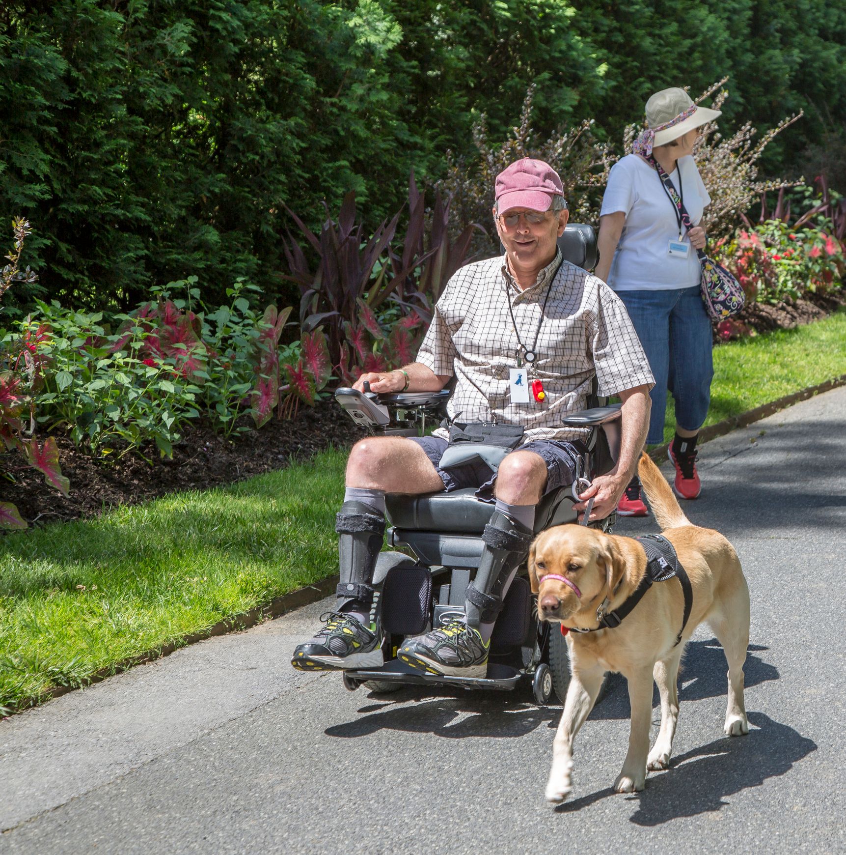 man in wheelchair with service dog